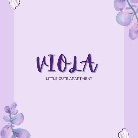 Viola