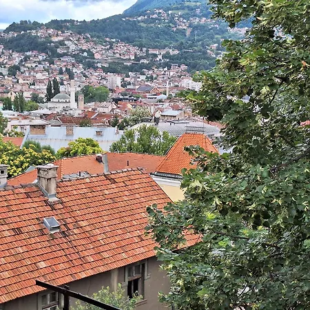 Viola * Sarajevo